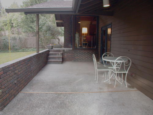 Lower level fireplace